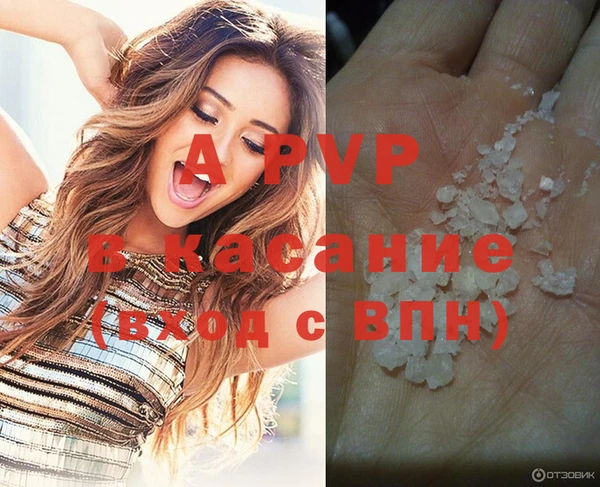 ешки Арсеньев
