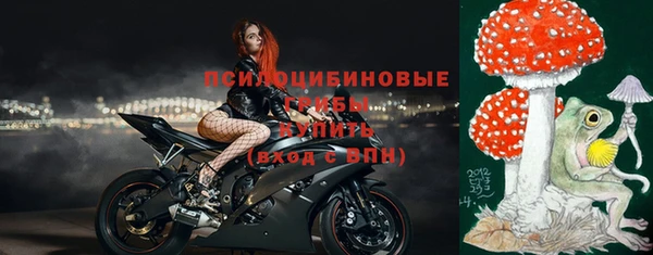 ешки Арсеньев